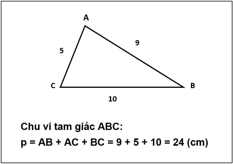 Chu Vi Hinh Tam Giac